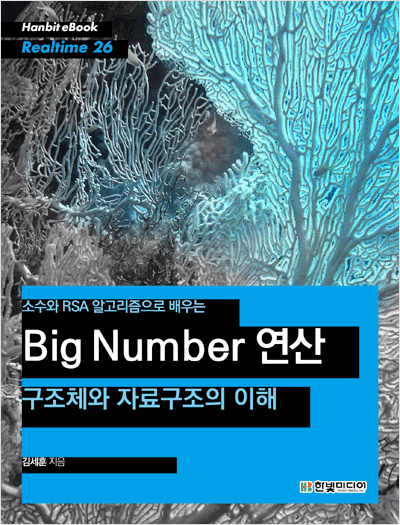 소수와 RSA 알고리즘으로 배우는 Big Number 연산 - 구조체와 자료구조의 이해